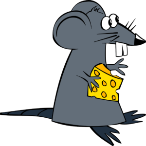 mus som äter ost och blir glad av sina fina tänder
